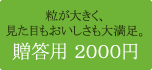 γ���礭���������ܤ⤪������������­��£���� 2000��