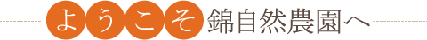 �褦�����Ӽ��������