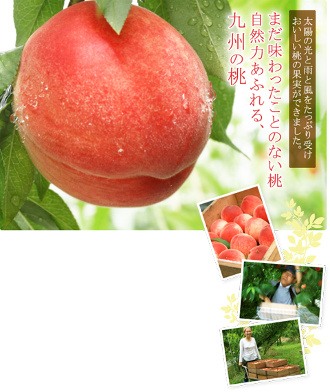 �ޤ�̣��ä����ȤΤʤ��� �����Ϥ��դ�롢�彣����
